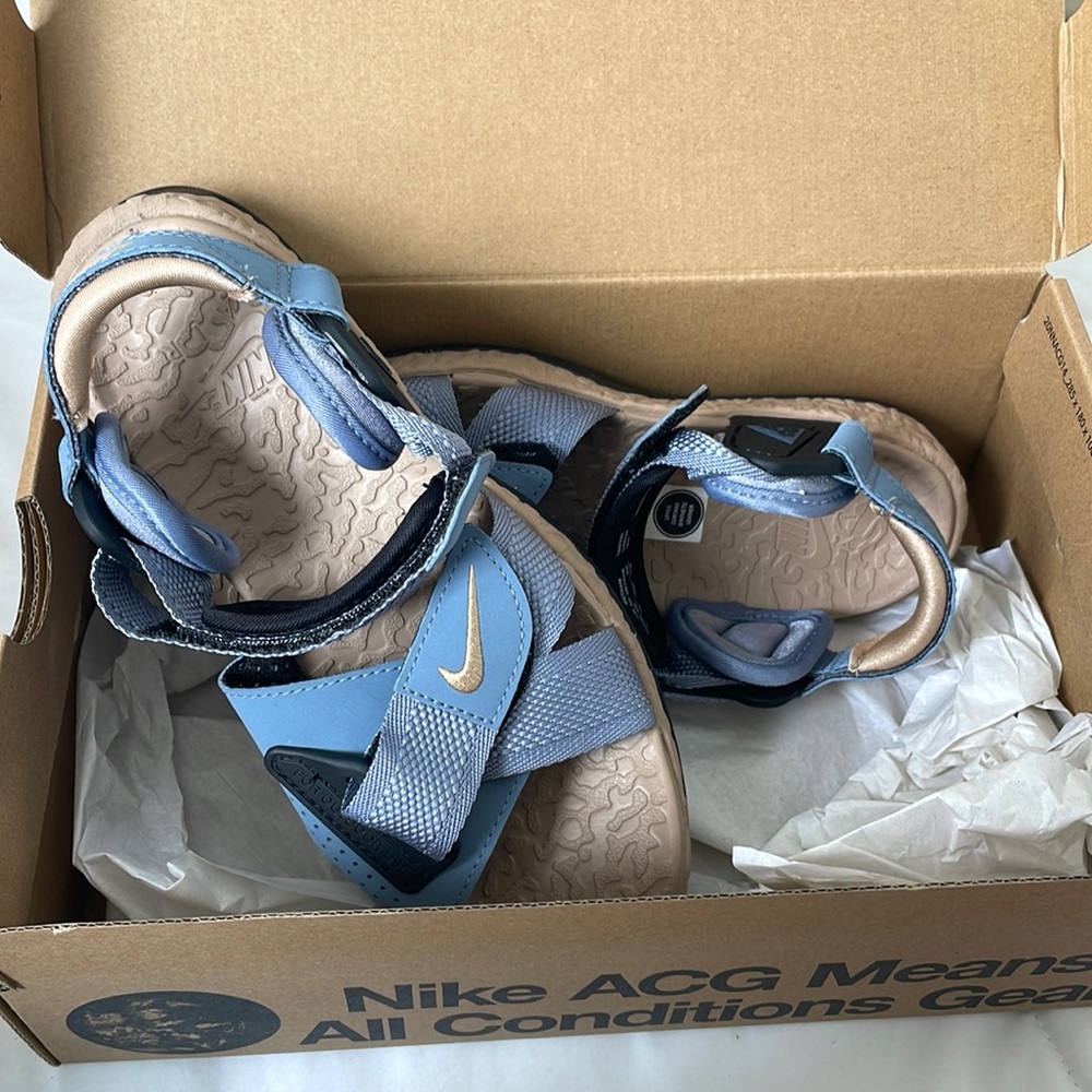 Nike ACG Air Deschutz Ashen